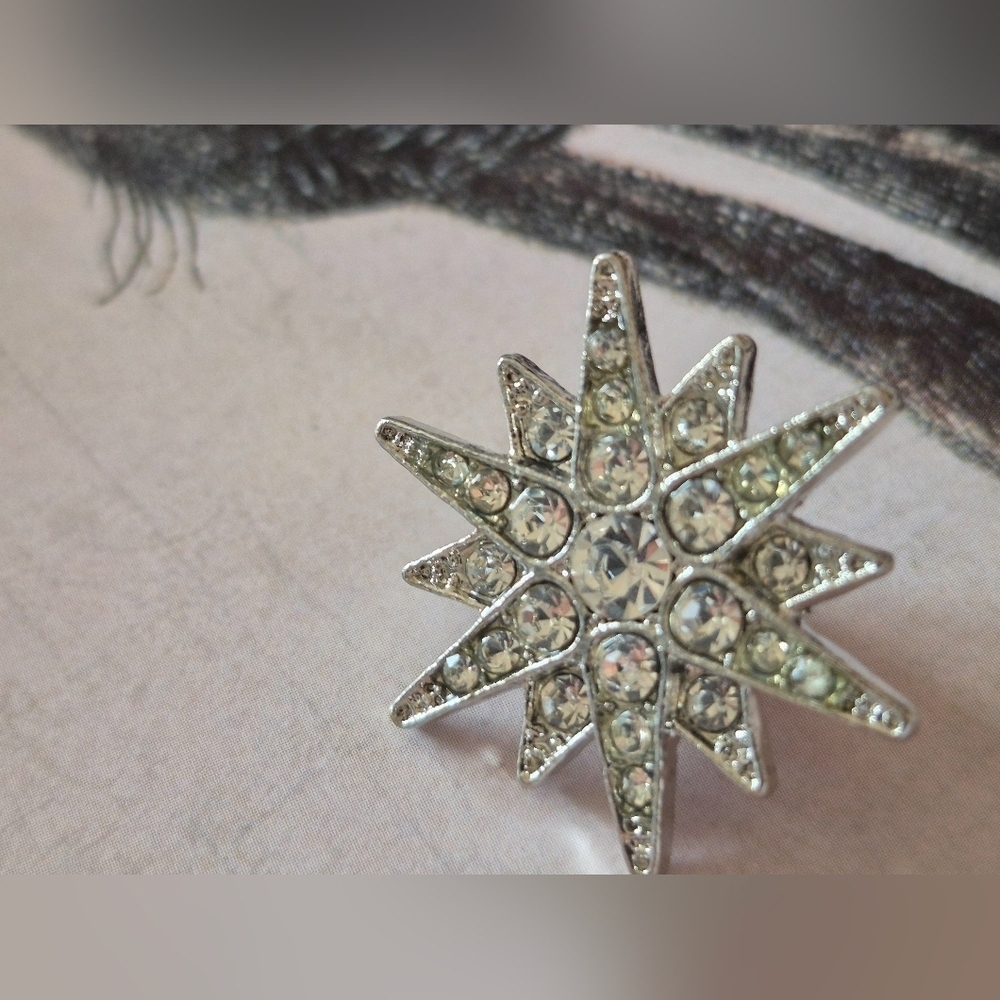 Elegant Silver Starburst Lapel Pin